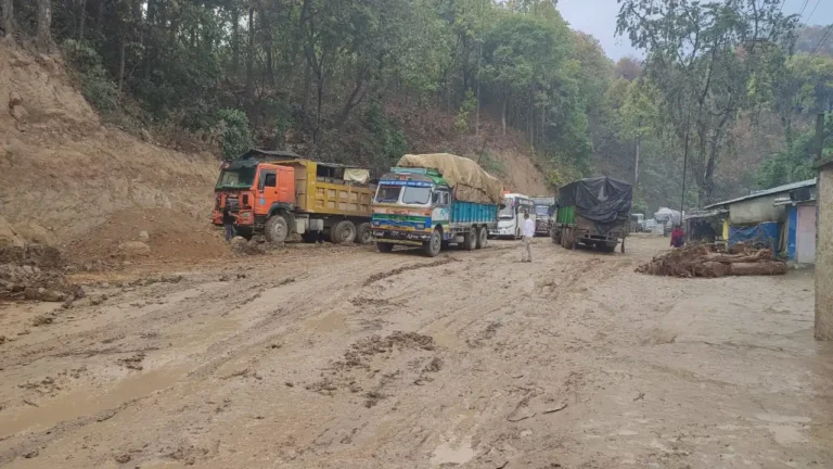 अवरुद्ध नारायणगढ–बुटवल सडक खुल्यो