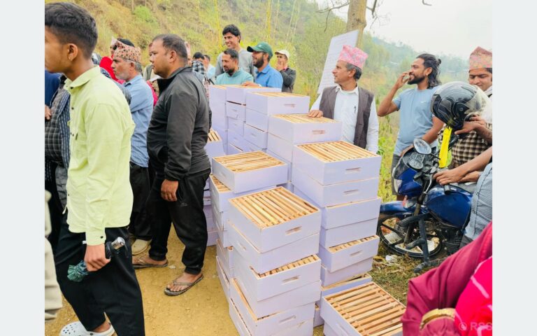 ढाकावाङका किसानलाई मौरी वितरण