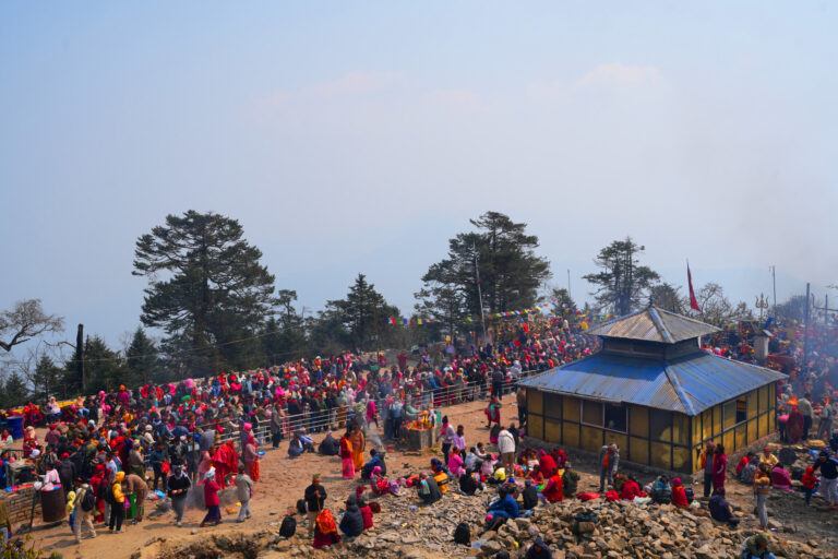 पाथीभरामा आज सात हजार बढी दर्शनार्थी