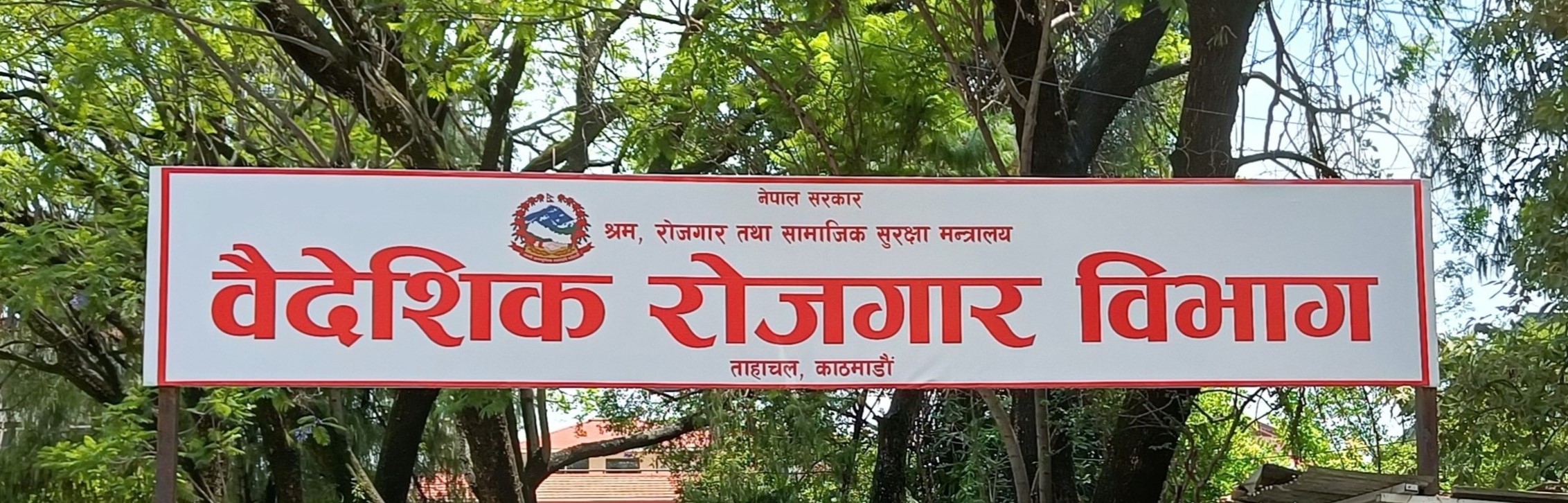 गैरकानुनी रुपमा कसैलाई विदेश पठाएमा कारबाहीः विभाग