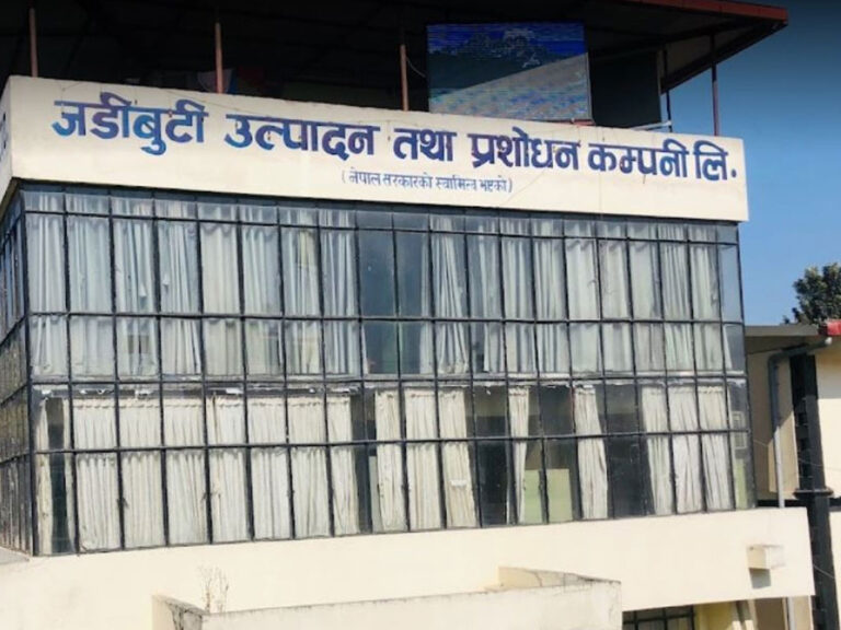 जडिबुटी उत्पादन तथा प्रवर्द्धन कम्पनीको क्षति २८ करोड,   बजेटमा २० करोड विनियोजन