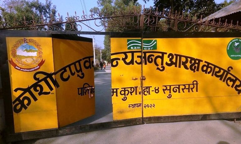 कोशीटप्पुमा पर्यटकको सङ्ख्या वृद्धि