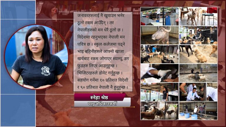 नेपालमा जनावरका लागि कानुन छैन्, भएको मापदण्ड कागजमै सिमित छ: श्रेष्ठ