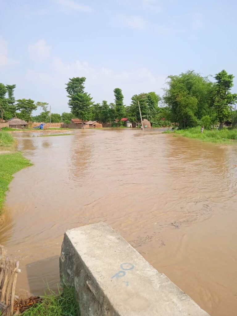 माईखोलाको बाढी बस्तीमा पस्यो, २२ घर डुबानमा