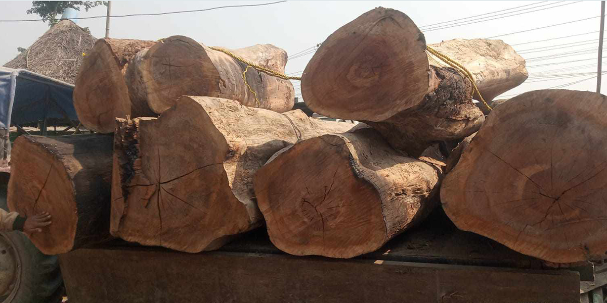 एकहजार क्यु फिट काठ निकुञ्जको नियन्त्रणमा