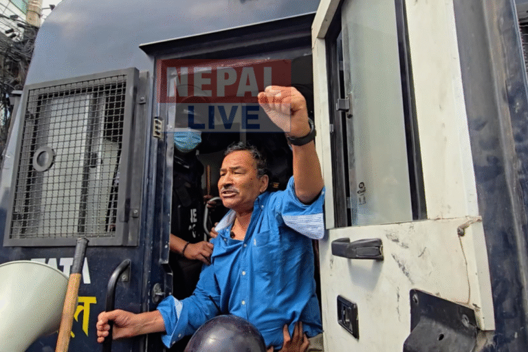कमल थापा र दीपक सिंहसहित ७ जना रिहा