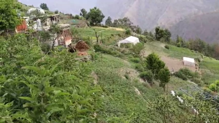 तरकारी खेतीबाट हेर्नीकाँध गाउँका किसानलाई मालामाल
