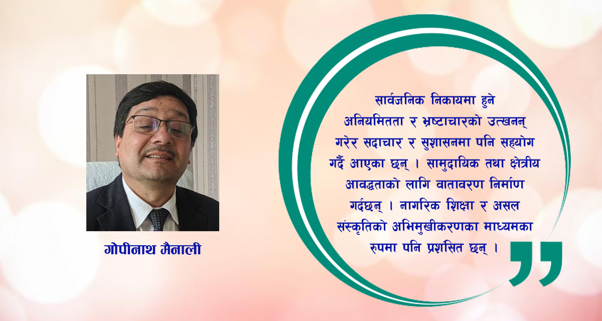 नागरिक समाज, विकास र शासन