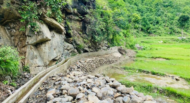 सिँचाइ कुलो निर्माणसँगै आकासे पानीको निर्भरता हट्यो