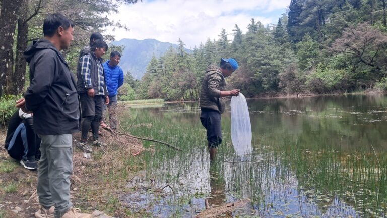 सेकुङ र भुतर्छो तालमा दश हजार माछाका भुरा छाडियो